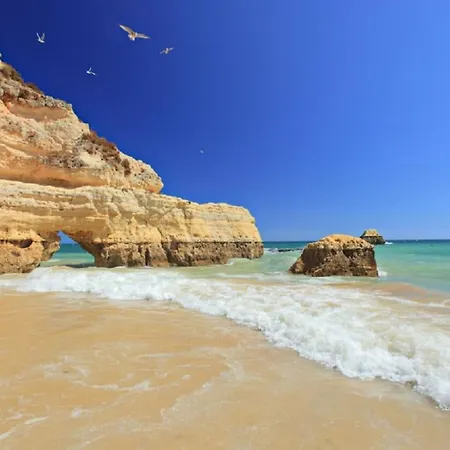 Alfarrobeira